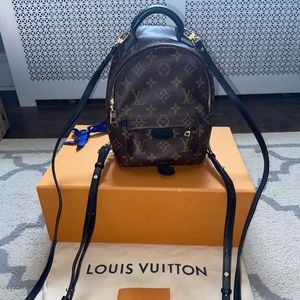 Louis Vuitton Palm Springs Mini Backpack